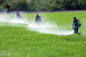 Pesticides and other chemicals may harm child intelligence. 