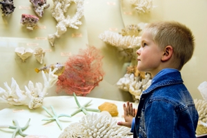 Day trips to museums and other educational attractions can keep kids mentally engaged.