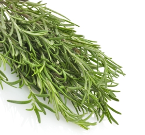 A whiff of rosemary could do the brain some good
