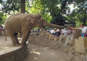 A trip to the zoo can boost a child''s knowledge of science and conservation, a new study finds.